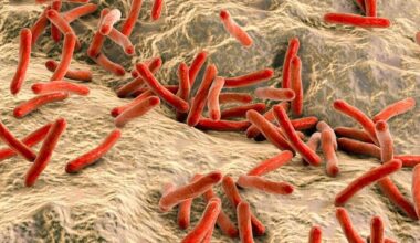 Croazia e Romania in allarme per sei casi di lebbra. La malattia in numeri minimi è anche in Italia - la Repubblica