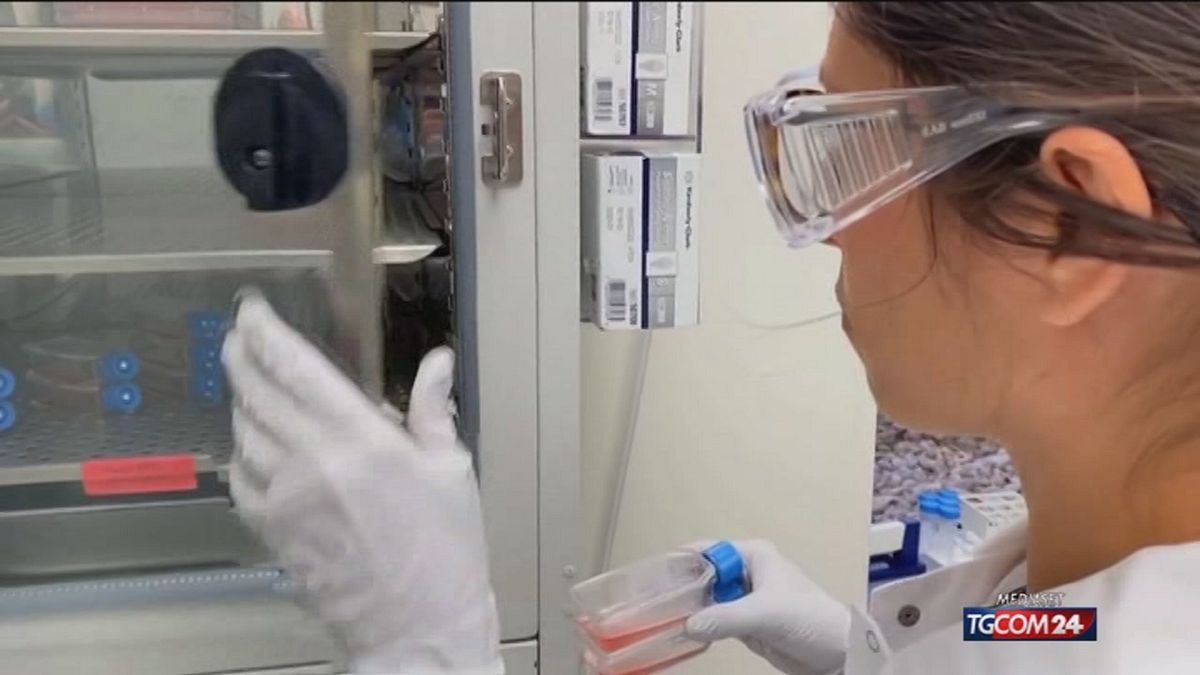 Vicini ai vaccini mRna contro i tumori ma pesano i tagli di Trump negli Usa - Tgcom24