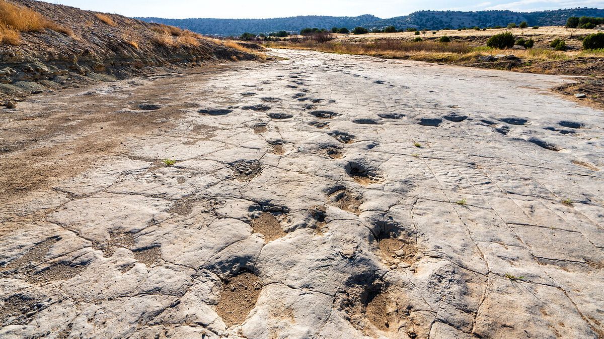 Migliaia di orme di dinosauri scoperte nel Parco dello Stelvio