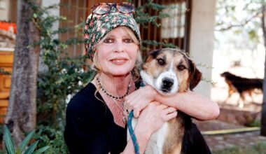L’altra Brigitte Bardot: l’addio al cinema, la capra salvata sul set e le battaglie animaliste