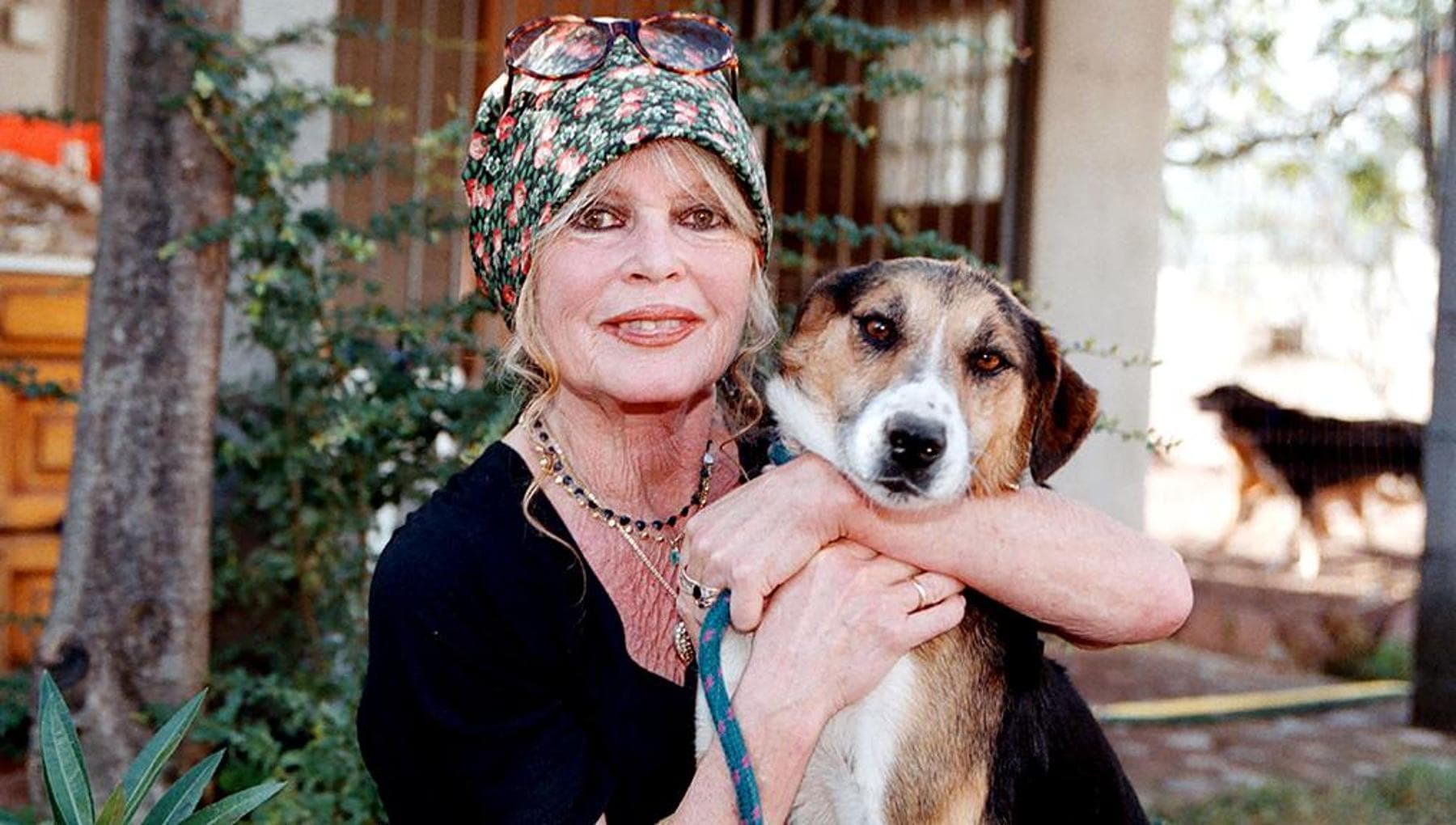 L’altra Brigitte Bardot: l’addio al cinema, la capra salvata sul set e le battaglie animaliste