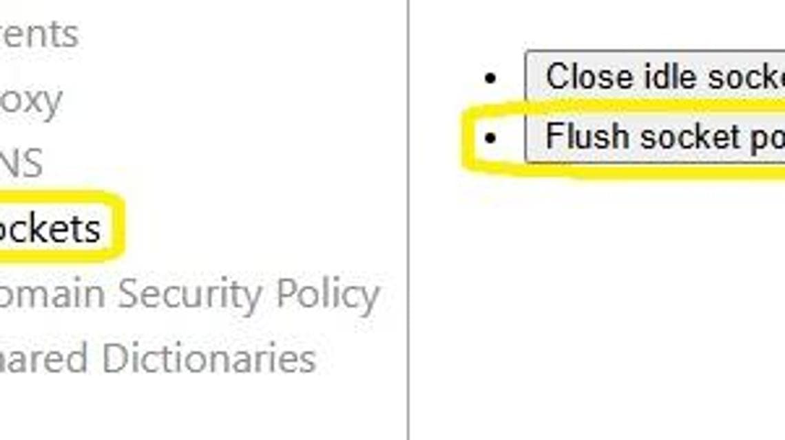 Si possono chiudere le vecchie connessioni dalla voce Sockets