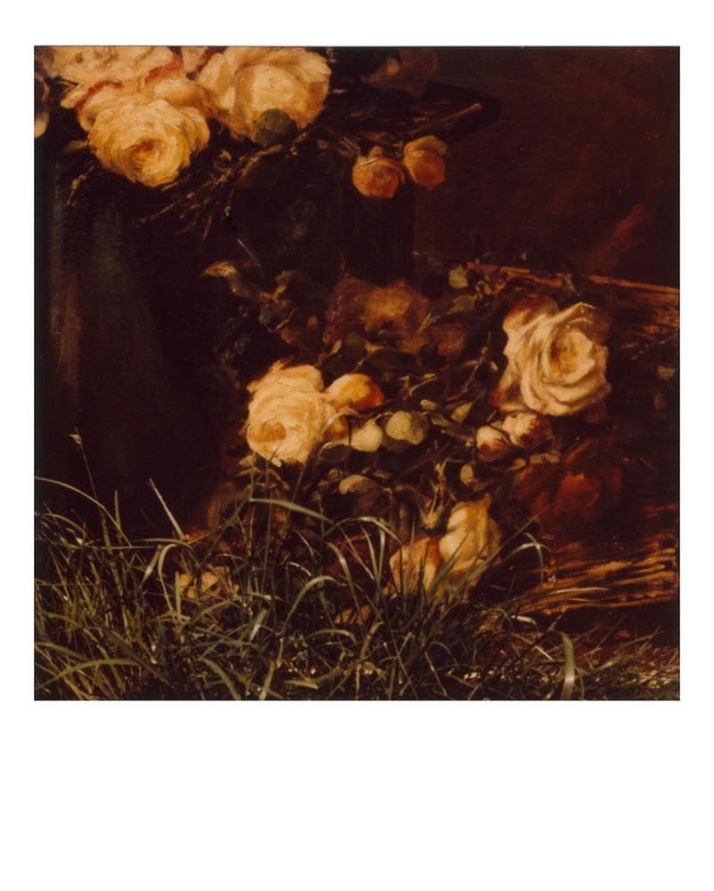 Modena, 1980 8x8 cm Collezione privata / Private Collection, Novara