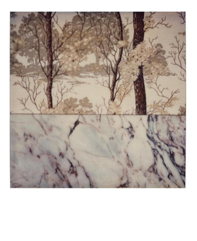 Modena, 1980 8x8 cm Collezione privata / Private Collection, Novara