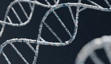 Una grande novità nella biologia molecolare: il codice genetico può essere ambiguo