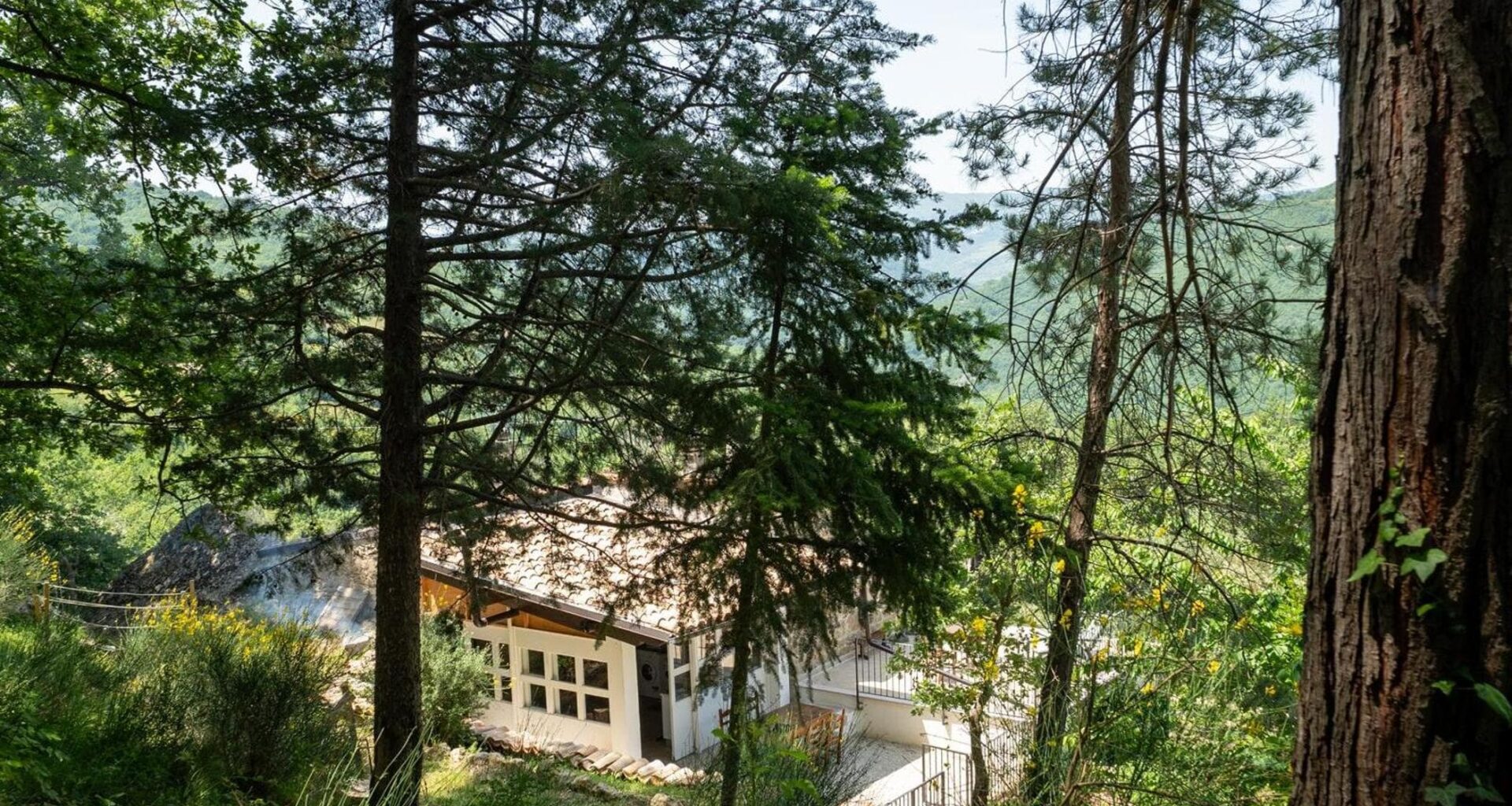 La famiglia nel bosco, la tutrice vuole iscrivere i tre bambini alla scuola pubblica di Palmoli - la Repubblica