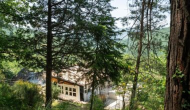 La famiglia nel bosco, la tutrice vuole iscrivere i tre bambini alla scuola pubblica di Palmoli - la Repubblica