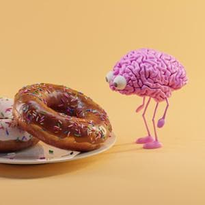 Scoperti i neuroni che controllano la fame