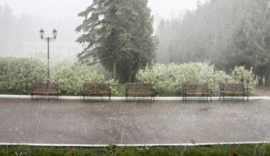 forti Piogge e Temporali nelle Prossime Ore, le zone coinvolte