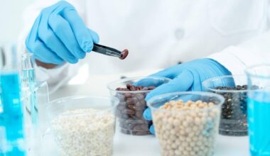 7 alimenti che danneggiano la salute del cervello secondo gli esperti