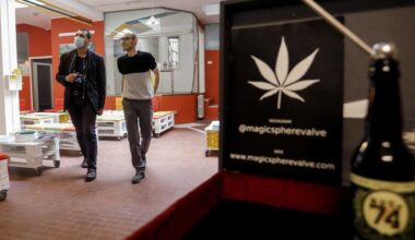 Fdi rilegalizza la cannabis, poi ci ripensa - La Verità