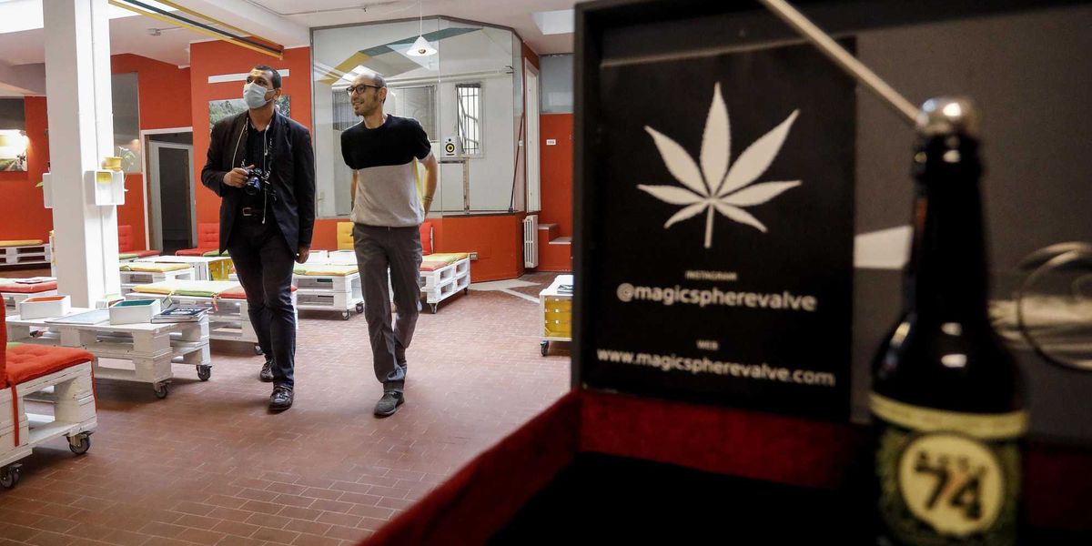 Fdi rilegalizza la cannabis, poi ci ripensa - La Verità