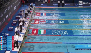 Europei di nuoto, Busa