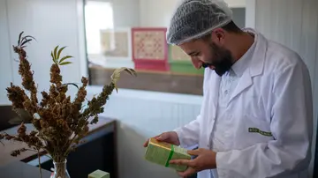 Il viaggio al canapa shop. “Le caramelle sono forti”, ma non sarebbero da mangiare