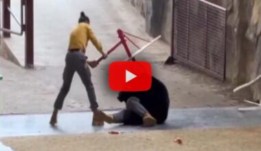 paura al parco di Hangzhou, il Video Corriere