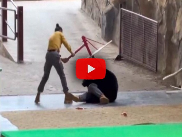 paura al parco di Hangzhou, il Video Corriere