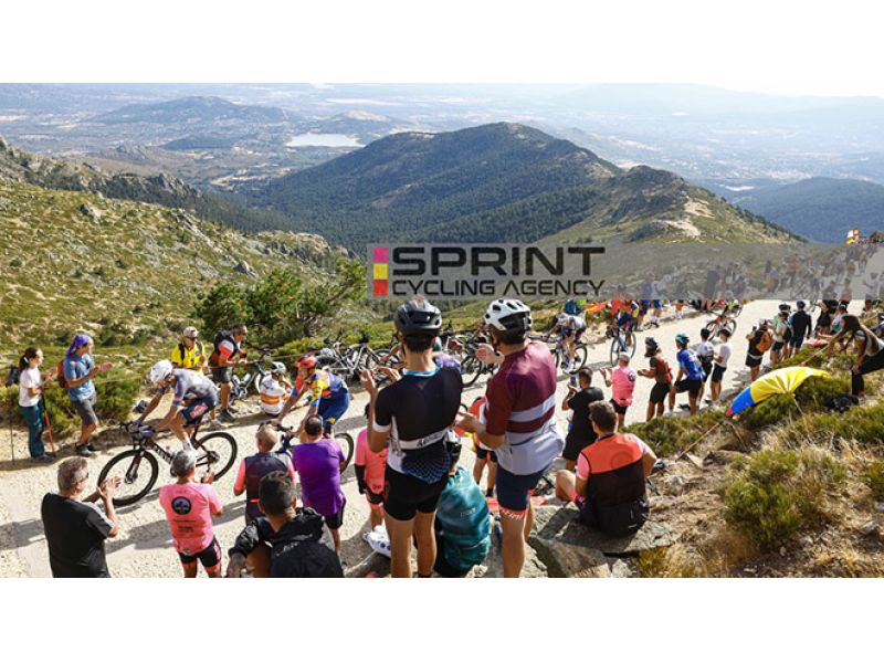 CICLOMERCATO 2025/26. IL TABELLONE AGGIORNATO DOPO L'ASSEGNAZIONE DELLE LICENZE