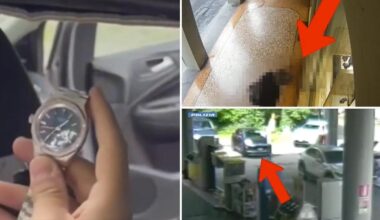 Bologna, si travestono e pedinano un uomo, poi lo rapinano di due Rolex: 3 banditi arrestati