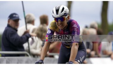 LA FORZA DELLA SD WORX