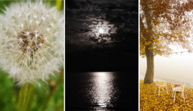 «Sotto lo stesso cielo» per ammirare la mostra di “foto+grafia” di Elisa Mosconi