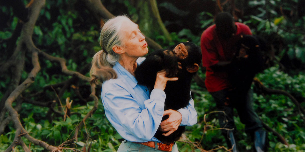 Senza di te - Il Post