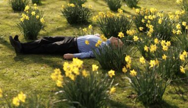 Che anno è stato, con le fotografie