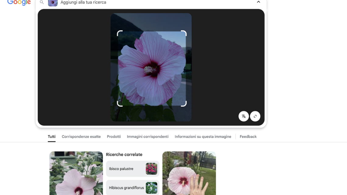 Fase 2 - Selezionare il tipo di ricerca tra le diverse opzioni disponibili