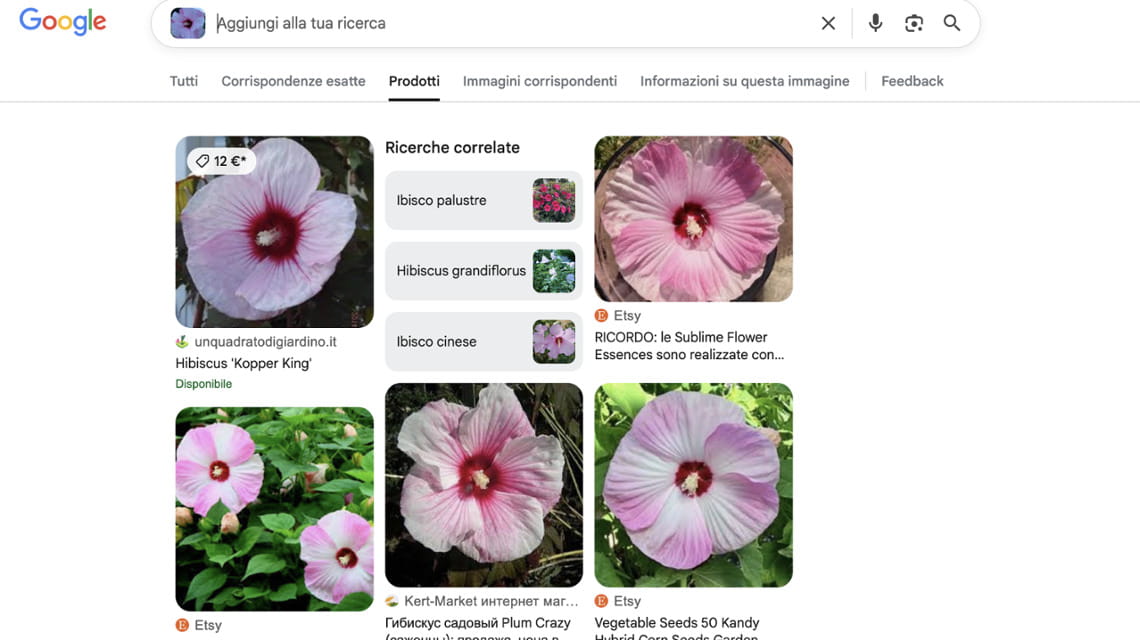 Fase 5 - Sfogliare la selezione di prodotti trovati tramite la ricerca per immagine