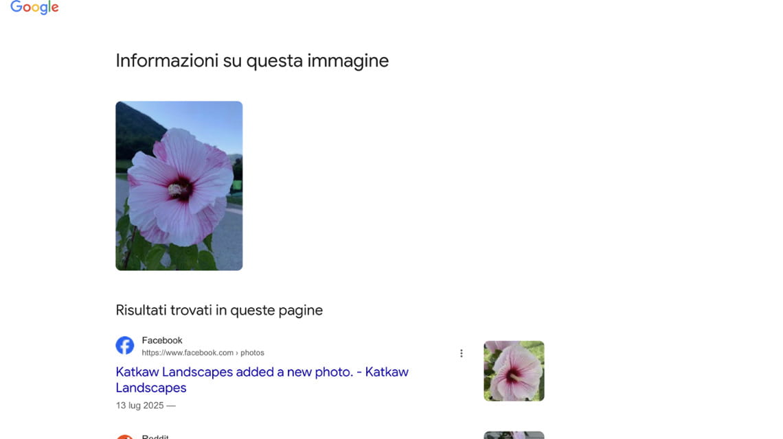 Fase 7 - Consultare le informazioni riportate da Google rispetto alla ricerca svolta con un'immagine