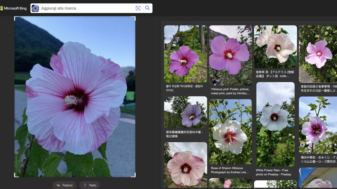 Metodo alternativo: la ricerca per immagini svolta tramite Bing