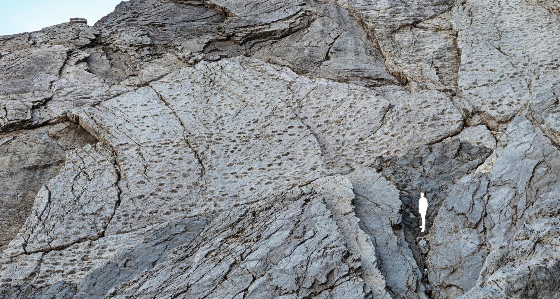 Scoperte migliaia di orme di dinosauri nel Parco dello Stelvio - la Repubblica