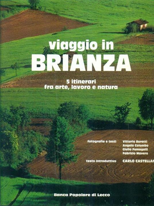 1989_01_copertina_VIAGGIO_IN_BRIANZA.jpg (71 KB)
