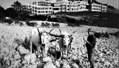 Il ministro dell'Economia, Giancarlo Giorgetti,