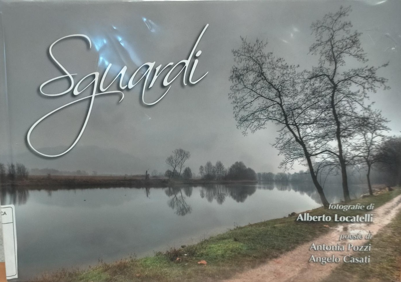 2013_01_copertina_SGUARDI_LOCATELLI.jpg (237 KB)