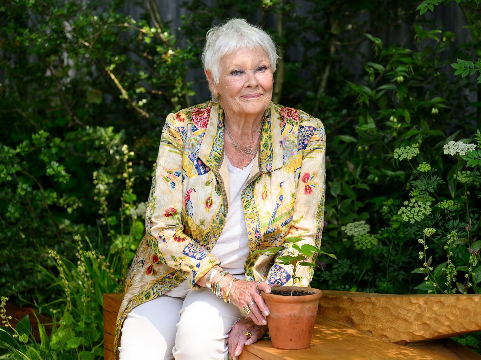 Judi Dench 90 anni non vede più per via di una maculopatia progressiva.