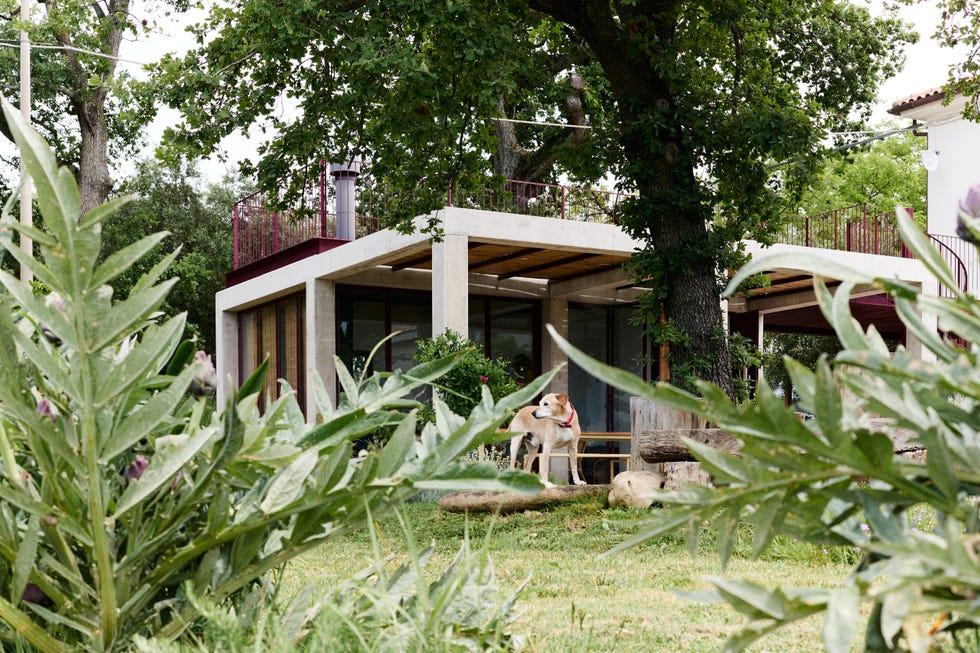 casa bellissima sulle colline marchigiane
