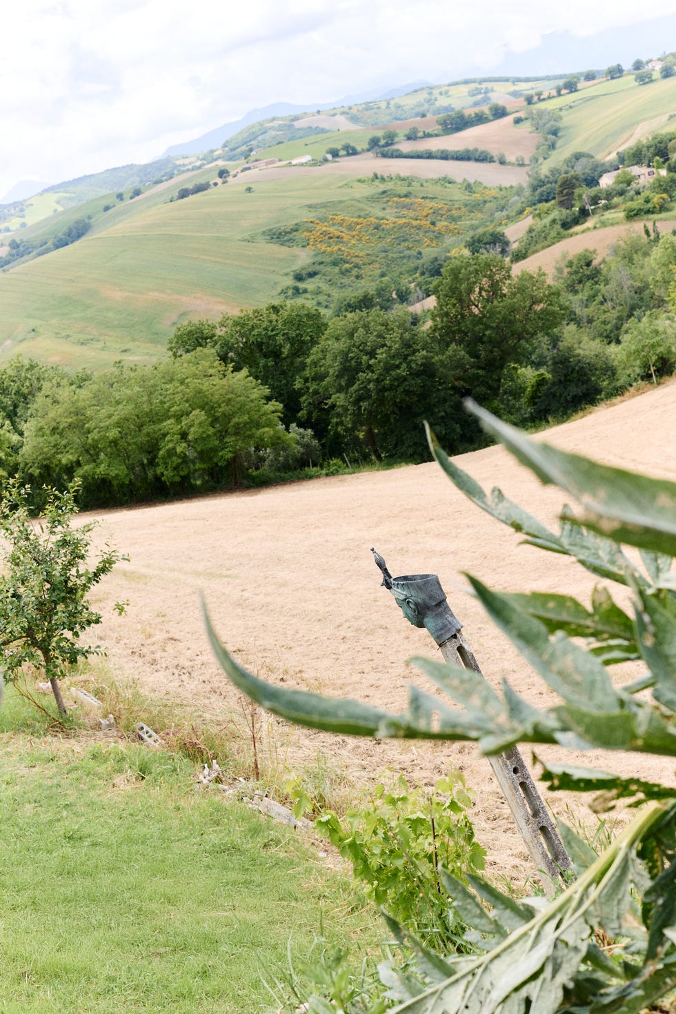 casa bellissima sulle colline marchigiane