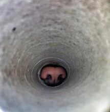 La Foto della Settimana è di Sara Autuori