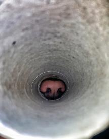 La Foto della Settimana è di Sara Autuori