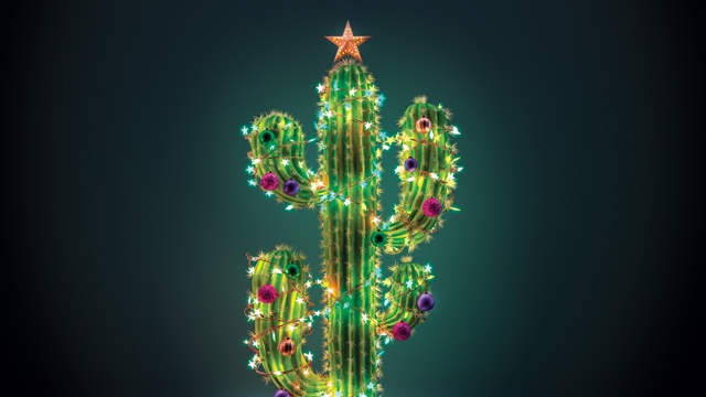 Film, libri e canzoni: il meglio dell’anno