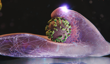 Il virus dell’influenza come non l’avete mai visto