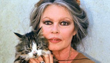 L'eredità di Brigitte Bardot: "Ha lasciato tutto agli animali, ma per legge metà dei suoi 65 milioni di dollari devono andare al figlio che lei definì 'un tumore"