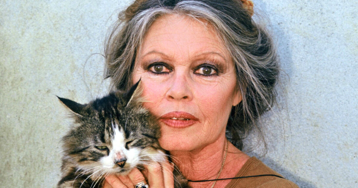 L'eredità di Brigitte Bardot: "Ha lasciato tutto agli animali, ma per legge metà dei suoi 65 milioni di dollari devono andare al figlio che lei definì 'un tumore"