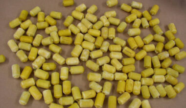 I farmacisti saranno sentinelle contro il Fentanyl: ecco i controlli che saranno effettuati al banco