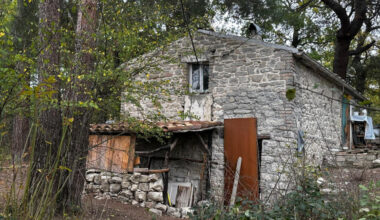 I tre bambini della famiglia nel bosco per ora restano in comunità