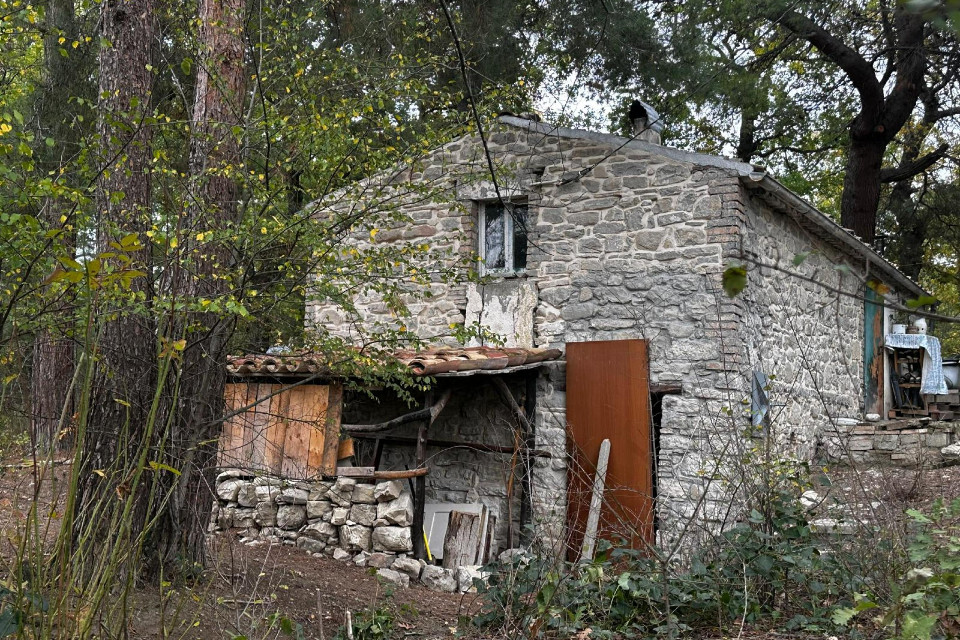 I tre bambini della famiglia nel bosco per ora restano in comunità