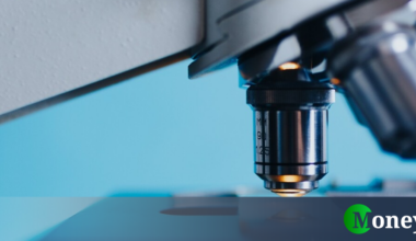 I ricercatori lanciano l'allarme. Devastano il nostro intestino ma continuiamo a mangiarli in abbondanza