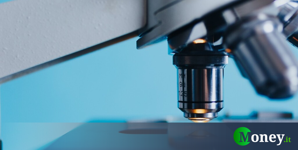 I ricercatori lanciano l'allarme. Devastano il nostro intestino ma continuiamo a mangiarli in abbondanza