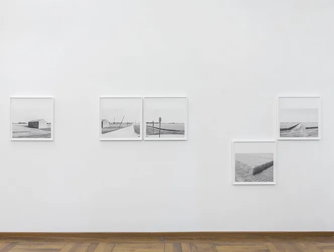 Paola De Pietri: storie di pianura