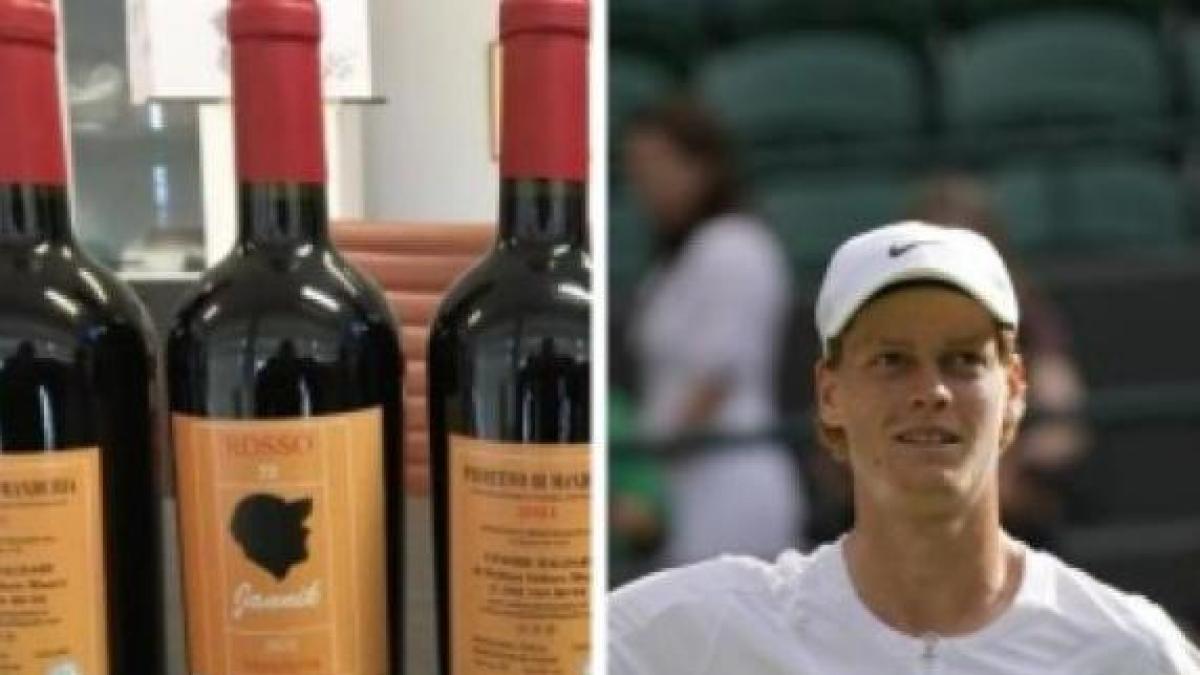 Vino per Sinner, l'avvocato di Jannik scrive al comune di Manduria: «Non facciamo causa, ma basta sfruttare la sua immagine»